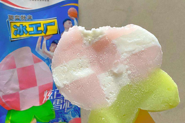 加盟冰工厂雪糕品牌需要多少资金？一文解析加盟费用明细